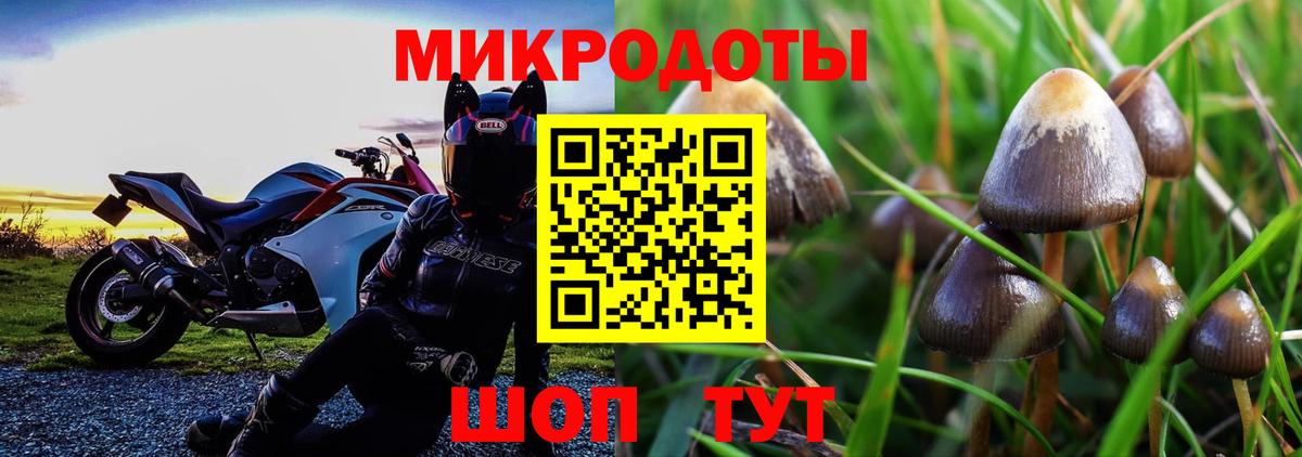 Галлюциногенные грибы Cubensis  Вход с VPN  наркотики  Крымск 